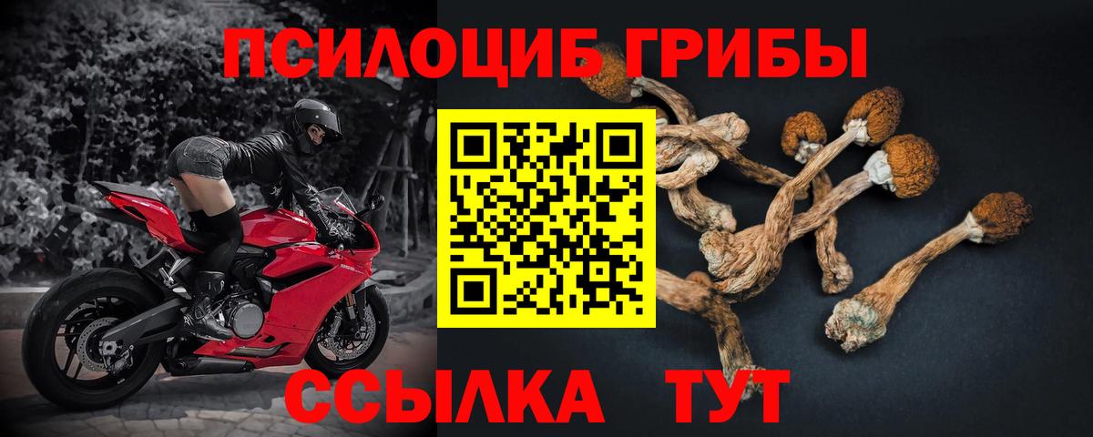 Псилоцибиновые грибы MAGIC MUSHROOMS Советск