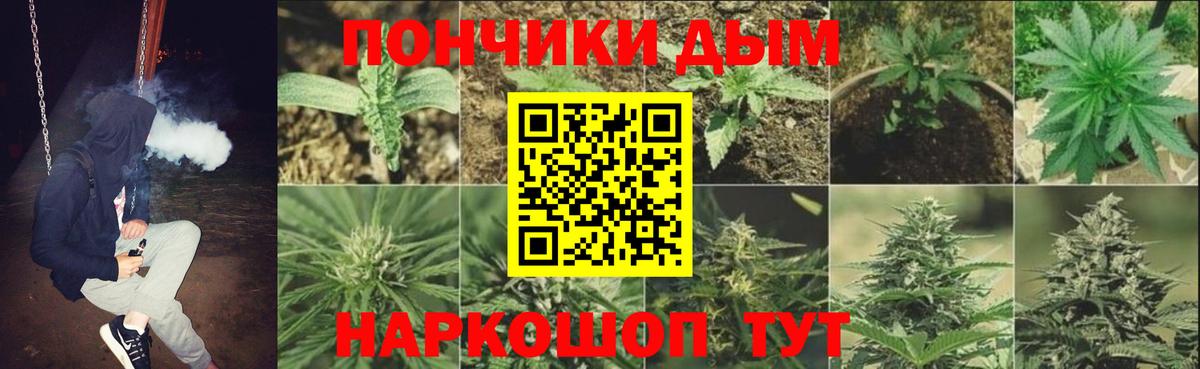 Бошки Шишки SATIVA & INDICA  Каннабис план  Вход с VPN  Советск  Бошки марихуана тримм  МАРИХУАНА индика 